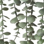 گل آویز اکالیپتوس ایکیا مدل FEJKA - تصویر 2