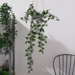 گل آویز پیچک ایکیا مدل FEJKA - تصویر 2