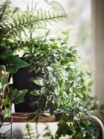 گل آویز پیچک ایکیا مدل FEJKA - تصویر 5